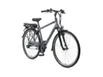 Telefunken Trekking E Bike 21 Gang Shimano Kettenschaltung Hinterradmotor 36V 10Ah Akku XT481