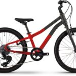 Winora Rage 20 – 20 Zoll – Diamant – 2024