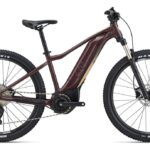 Liv Tempt E+ 1 V1 – 500 Wh – 29 Zoll – Diamant