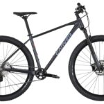 Carver Strict 170 – 29 Zoll – Diamant – 2024