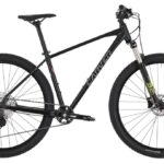 Carver Strict 150 – 29 Zoll – Diamant – 2023
