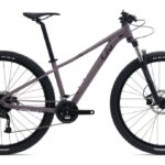 Liv Tempt 3+ – 29 Zoll – Diamant – 2024