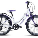 S’cool chiX twin 20 3-Gang – 20 Zoll – Tiefeinsteiger – 2025