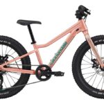 Cannondale Kids Trail Plus – 20 Zoll – Diamant – 2025