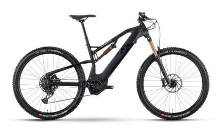 Raymon FullRay 150E 11.0 – 630 Wh – 29 Zoll – Fully