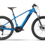 Raymon HardRay E 6.0 – 630 Wh – 29 Zoll – Diamant