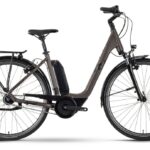 Raymon CityRay E 2.0 CB 400 – 400 Wh – 28 Zoll – Tiefeinsteiger – 2024