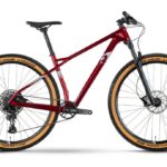 Raymon HardRay 7.0 – 29 Zoll – Diamant – 2024