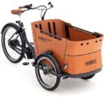 Babboe Curve Mountain – 500 Wh – 26 Zoll – Dreirad – 2024