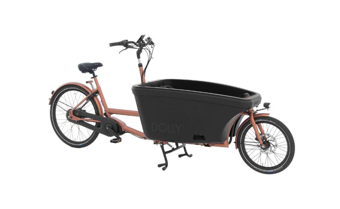 2108199_11982009-1.jpg DOLLY Family E-Lastenrad – 600 Wh – 26 Zoll – Long John – 2023 – Bild 1
