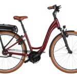 Riese und Müller Swing4 vario – 500 Wh – 28 Zoll – Tiefeinsteiger – 2025