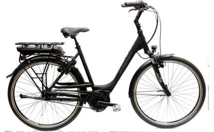 Gudereit EC-3 – 500 Wh – 28 Zoll – Tiefeinsteiger – 2023