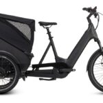 Cube Trike Hybrid Cargo 750 – 750 Wh – 24 Zoll – Dreirad – 2025