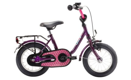 Bellini Fuchs – 18 Zoll – Tiefeinsteiger – 2024