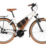Riese und Müller Cruiser2 Mixte vario – 725 Wh – 28 Zoll – Damen Sport – 2025