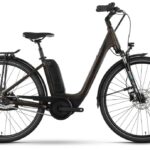 Raymon CityRay E 4.0 SE CB – 500 Wh – 26 Zoll – Tiefeinsteiger – 2024