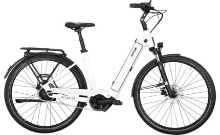 Kettler Quadriga P5 RT – 625 Wh – 28 Zoll – Tiefeinsteiger – 2025