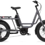 Benno Bikes RemiDemi 9D XL – 545 Wh – 20 Zoll – Longtail – 2024