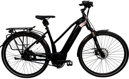 Gudereit ET-10 evo – 500 Wh – 28 Zoll – Damen Sport – Aktion