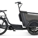 Batavus Fier-3 Env – 500 Wh – 20 Zoll – Dreirad – 2023