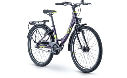 Raymon FourRay 2.5 Street – 24 Zoll – Tiefeinsteiger – 2024
