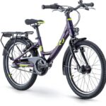 Raymon TwoRay 2.5 Street – 20 Zoll – Tiefeinsteiger – 2024
