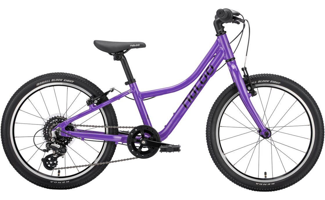 934877_11775600-1.jpg Naloo Chameleon 20″ MK2 – 20 Zoll – Diamant – 2023 – Bild 1