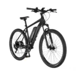 Fischer E-Bike Montis EM 2127 – 627 Wh 48 cm